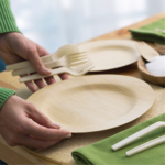 Platos biodegradables 1